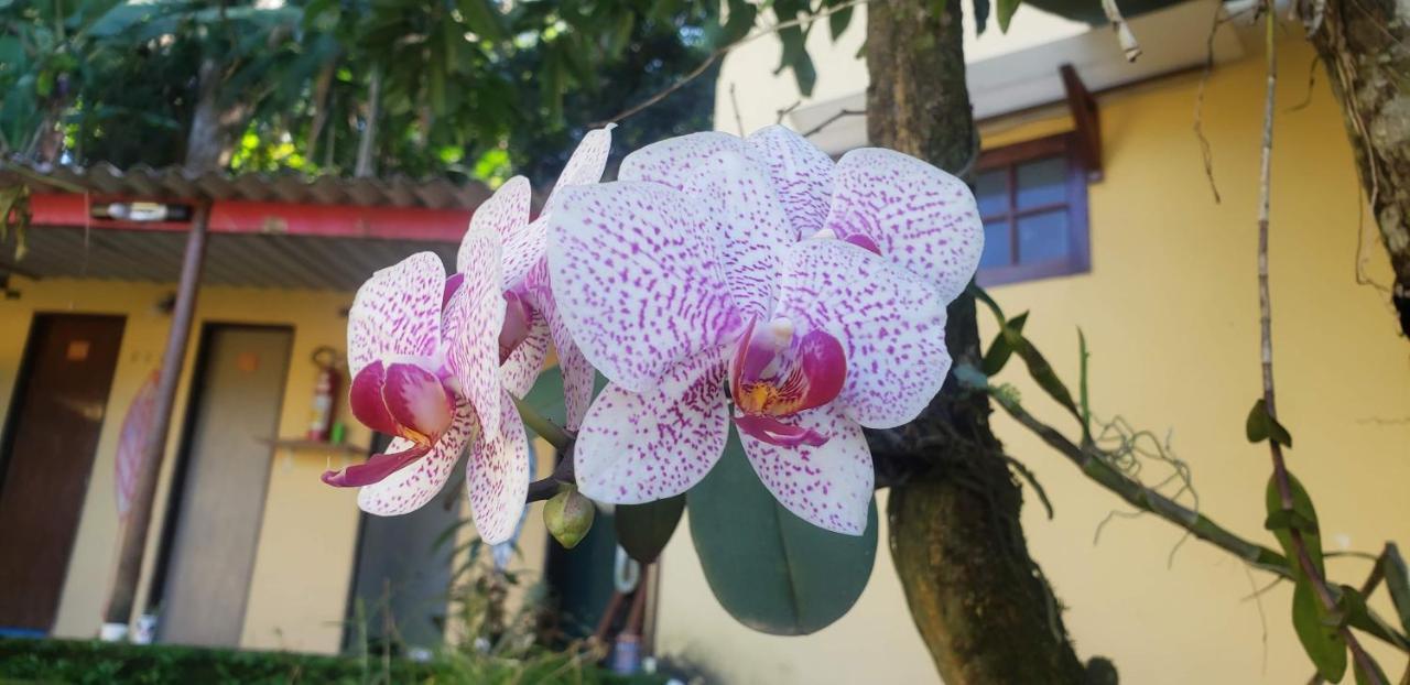 Pousada Mixirica Trindade  Ngoại thất bức ảnh